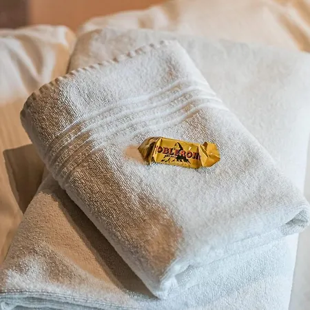 Σαλέ Bodmen 305 *